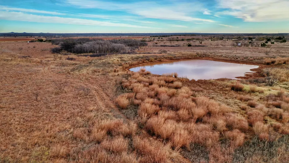 Overview of 80 acre hunting land in Foard County, Texas