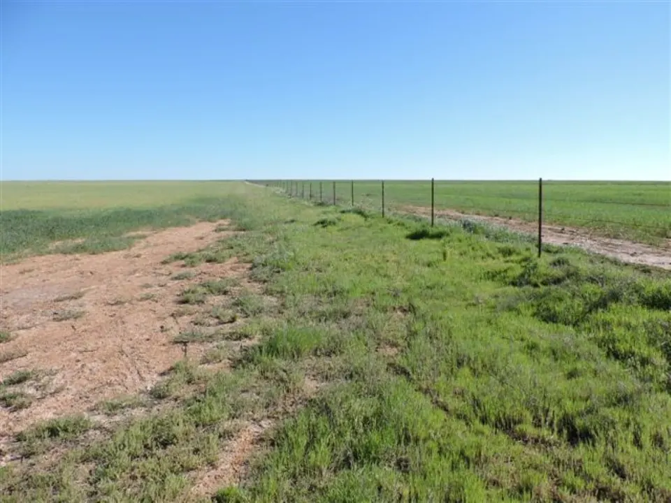 Overview of 80 acre farm in Wilbarger County, Texas