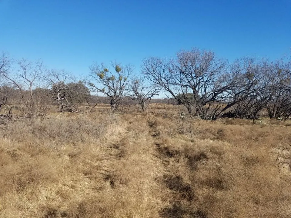 Overview of 80 acre ranch in Young County, Texas