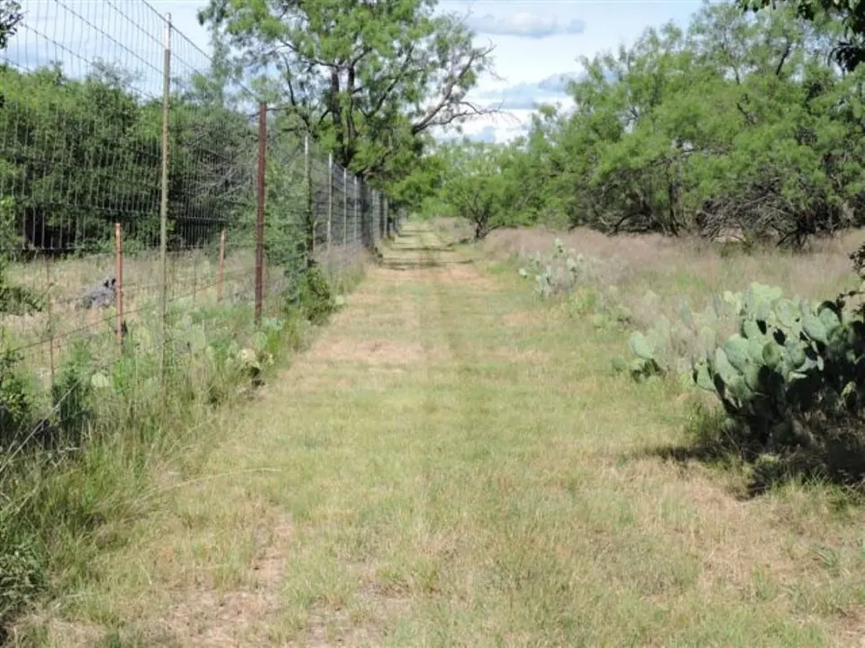Overview of 801 acre hunting land in Stephens County, Texas