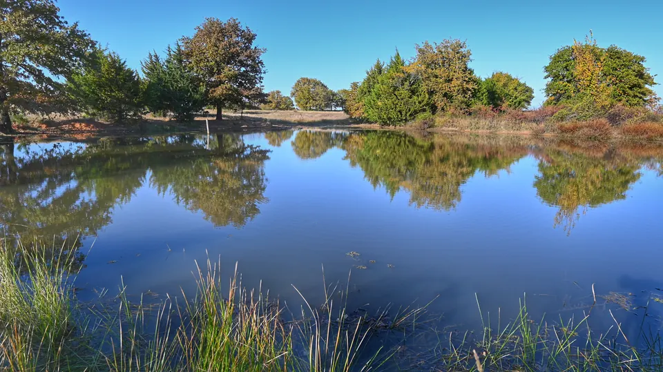Overview of 82 acre ranch in Montague County, Texas