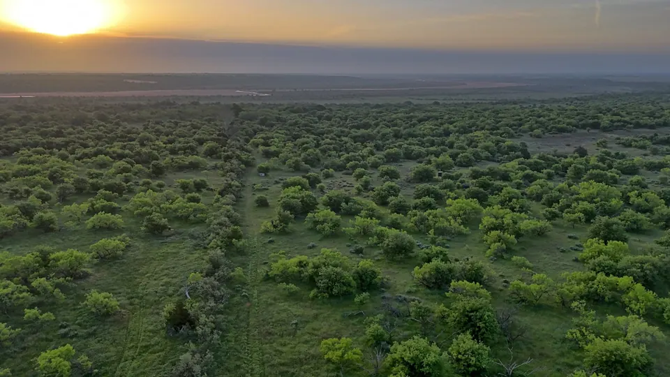 Overview of 823 acre hunting land in Hardeman County, Texas