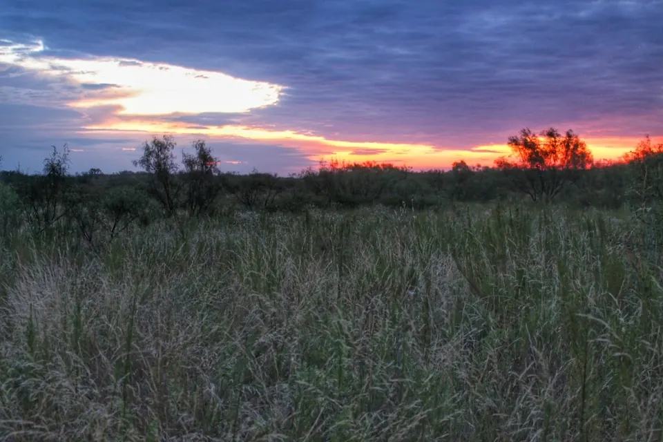 Overview of 861 acre timberland in King County, Texas