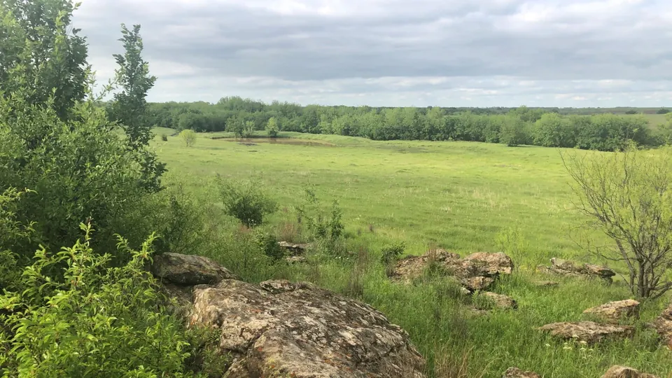 Overview of 87.64 acre ranch in Clay County, Texas