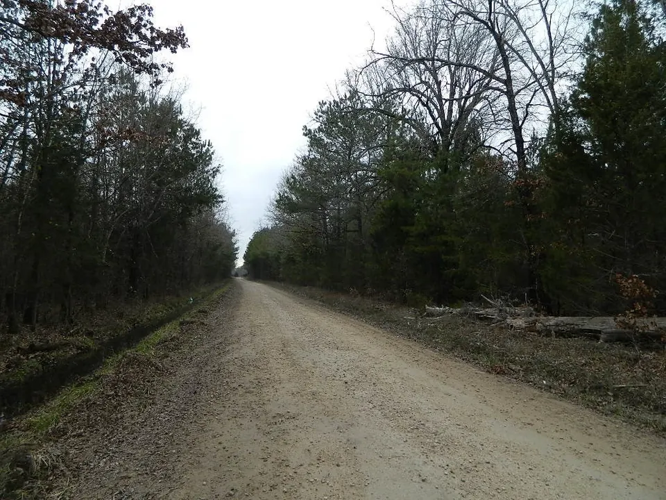 Overview of 9.94 acre timberland in Red River County, Texas