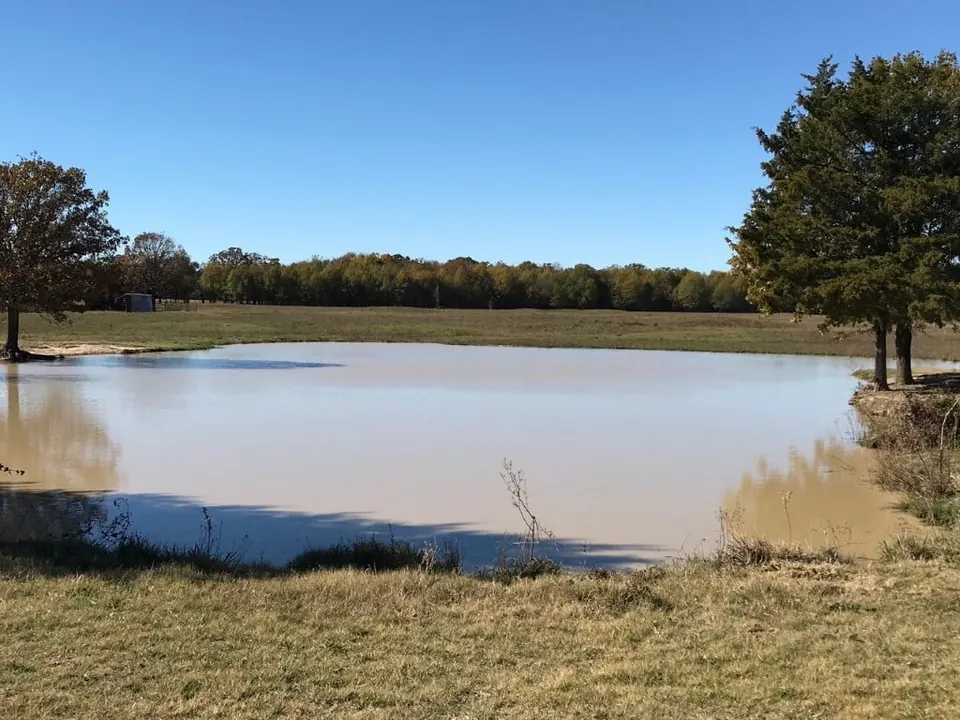 Overview of 94.18 acre timberland in Franklin County, Texas