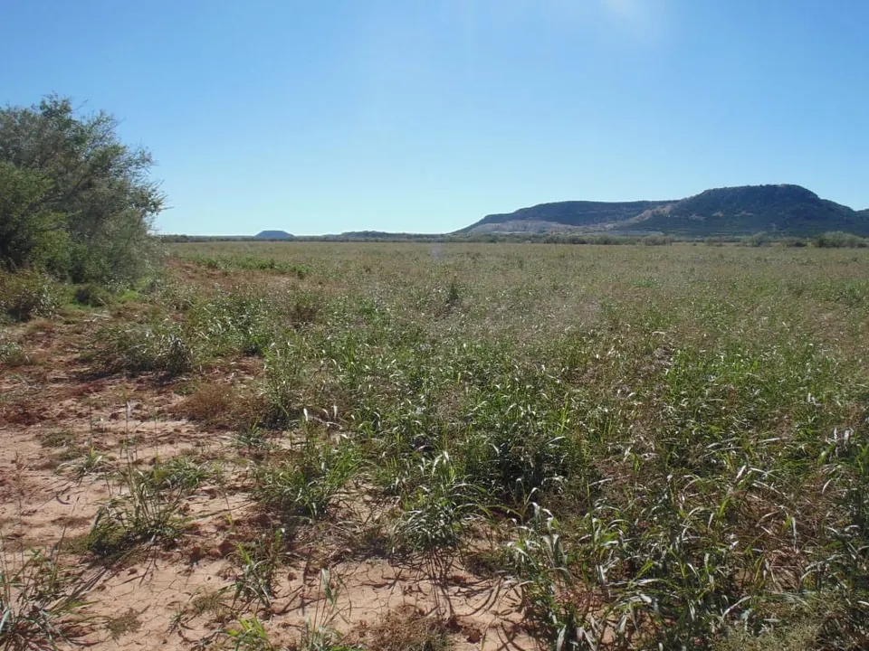 Overview of 96 acre ranch in Taylor County, Texas