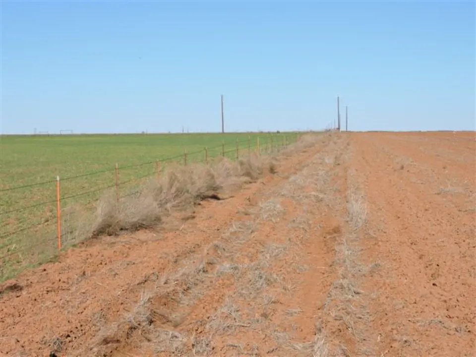 Overview of 96 acre farm in Wilbarger County, Texas