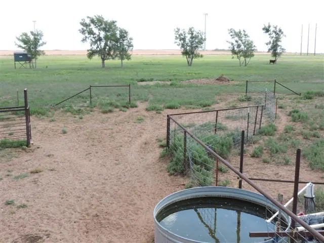 Overview of 98 acre farm in Wilbarger County, Texas