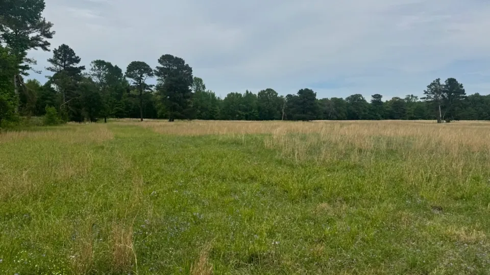 104 acre hunting property Red River County Texas open meadow pasture land