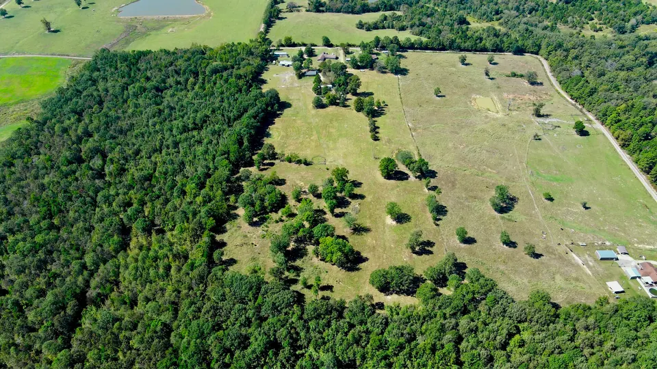 Fifteen acres of Texas hunting land with mixed pasture and dense hardwood forest on 15 acres in Camp County