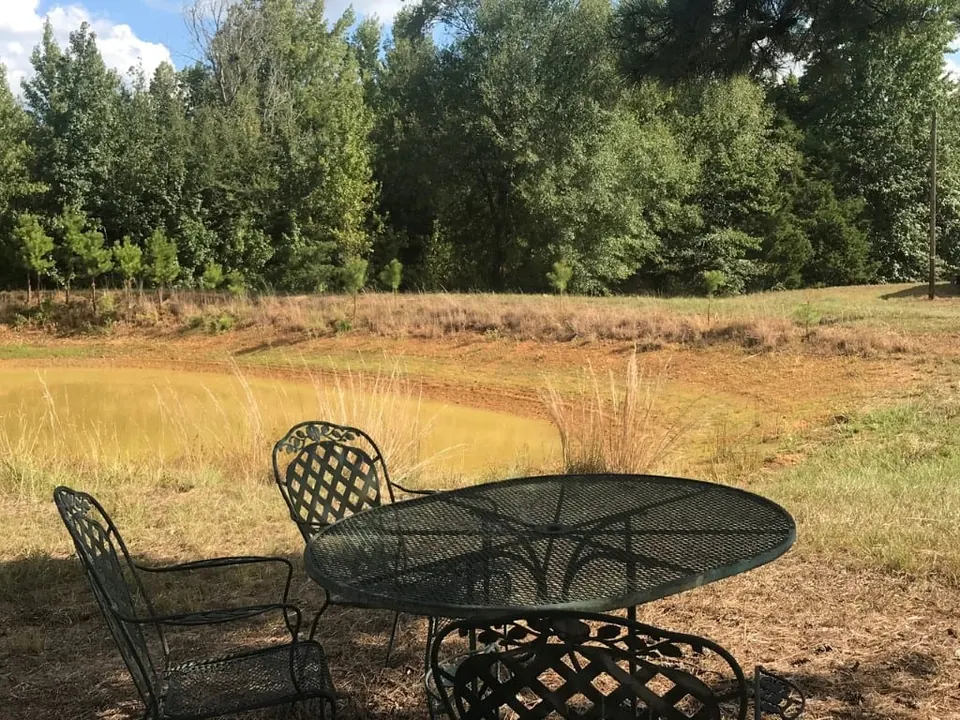 Overview of 117.89 acre timberland in Red River County, Texas