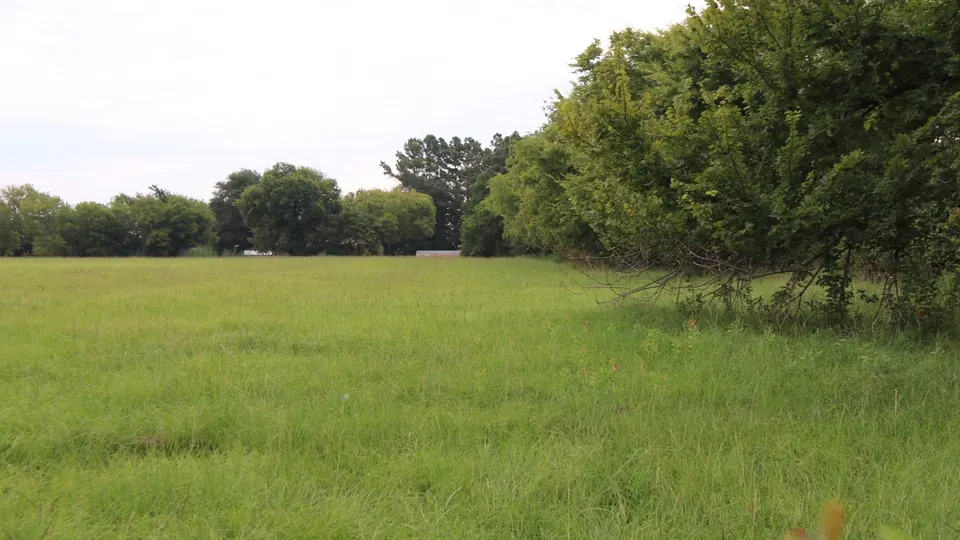 Lush, green pastureland with scattered trees on a 2-acre homesite in, 2 acres in Rains County, 2.05 acres in Rains County, TX