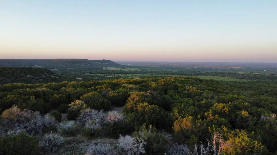 Expansive Texas land with dense tree cover, rolling hills, and a distant ridgeline on 207 acres in Taylor County