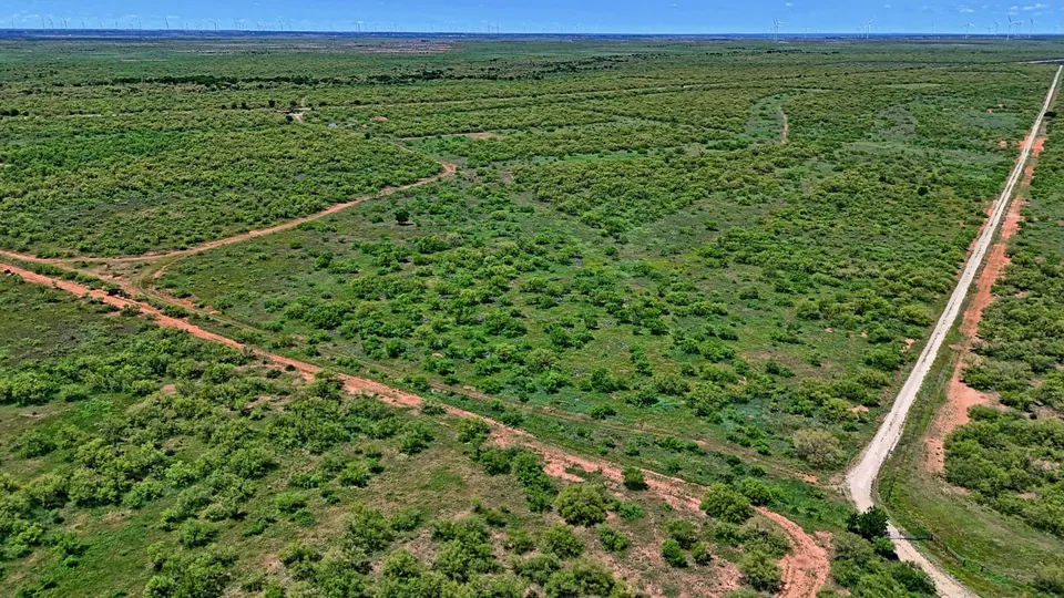Overview of 210 acre hunting land in Foard County, Texas
