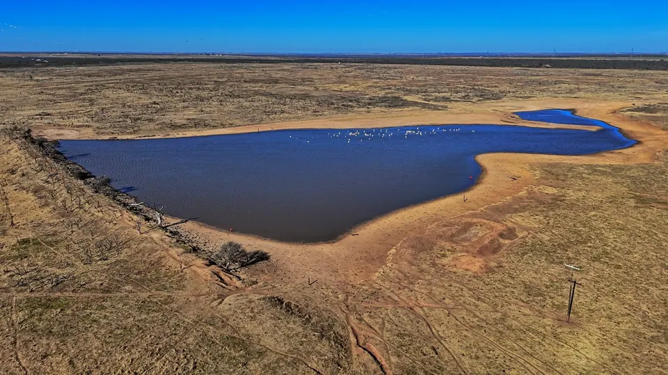 Large stock pond with waterfowl, surrounded by dry pastureland in Clay County, Texas on 2,226 acres in Clay County