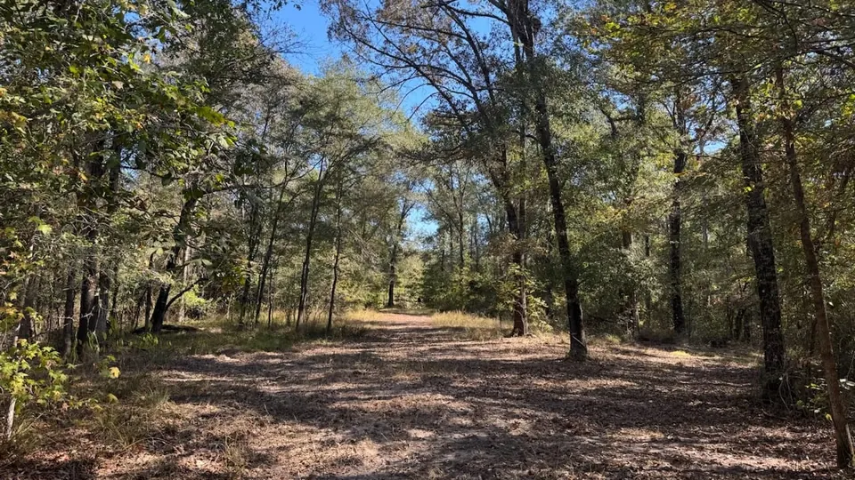Texas recreational land with mature trees, clearings, and, 36 acres in Red River County, 36.73 acres in Red River County, TX
