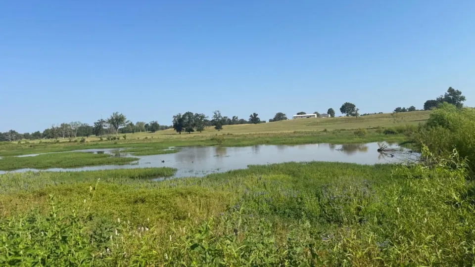 Pastureland with a pond and green grasses under a clear blue sky in Franklin County, Texas