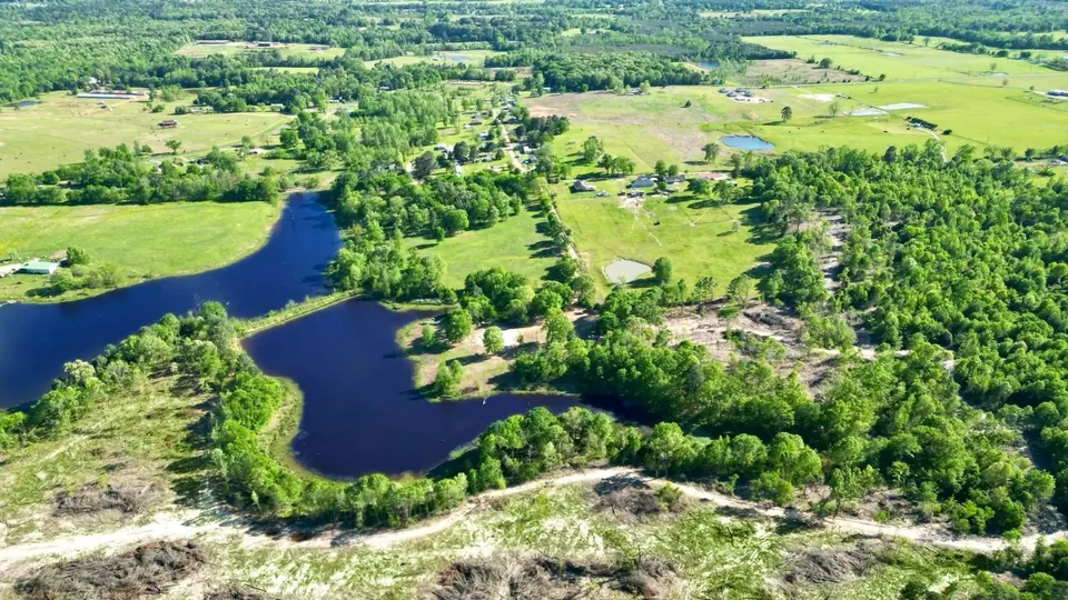 Overview of 42 acre hunting land in Camp County, Texas