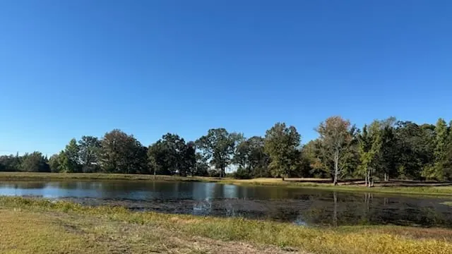 Stock pond reflecting the treeline under a clear blue sky on a ru — 55 acres in Titus County, 55.00 acres in Titus County, TX