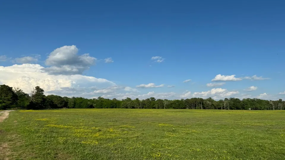 Overview of 66.57 acre ranch in Red River County, Texas