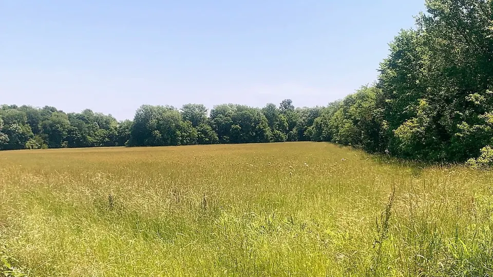 Overview of 12.58 acre ranch in Red River County, Texas