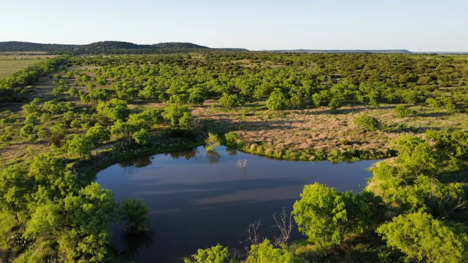 Stock pond surrounded by mesquite trees and native grasses on a Texas hunting property on 75 acres in Taylor County