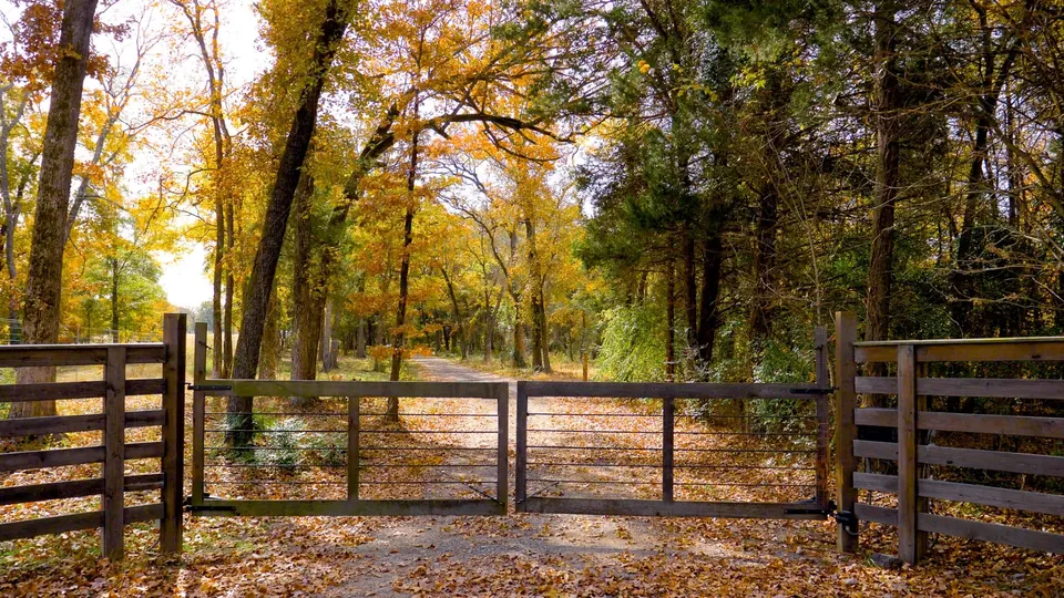 Wooden gate opens onto a tree-lined drive, le, Rustic Springs Game Ranch Corporate Lease, 396.00 acres in Franklin County, TX