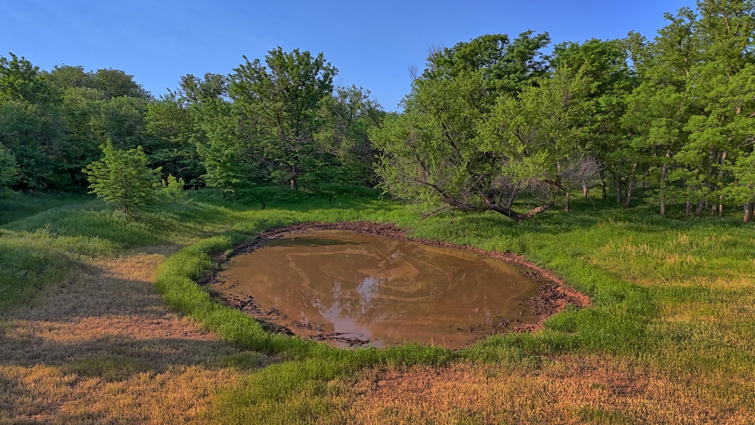 Stock pond surrounded by grass and mature trees