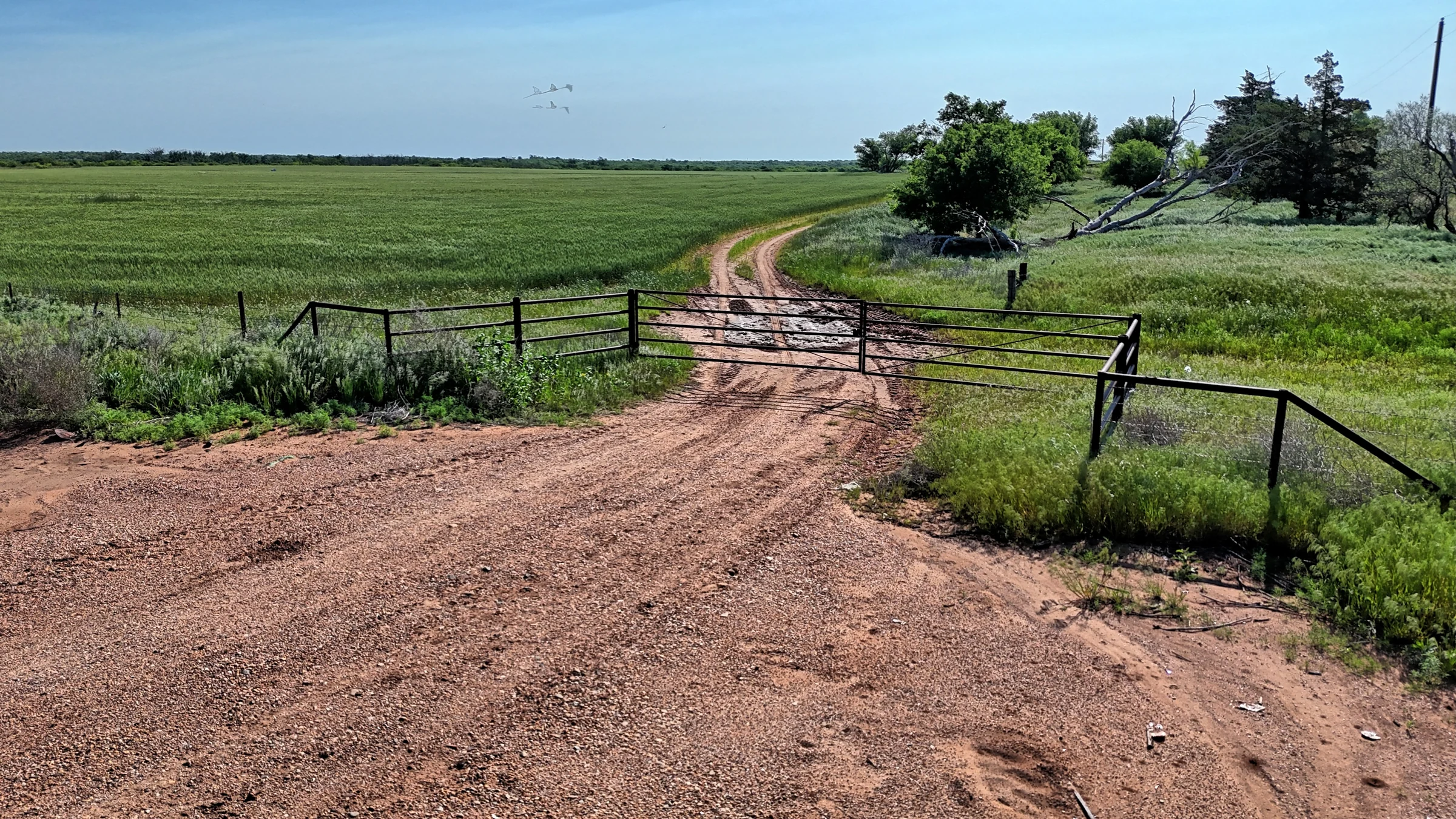 Gated ranch entrance and dirt access road