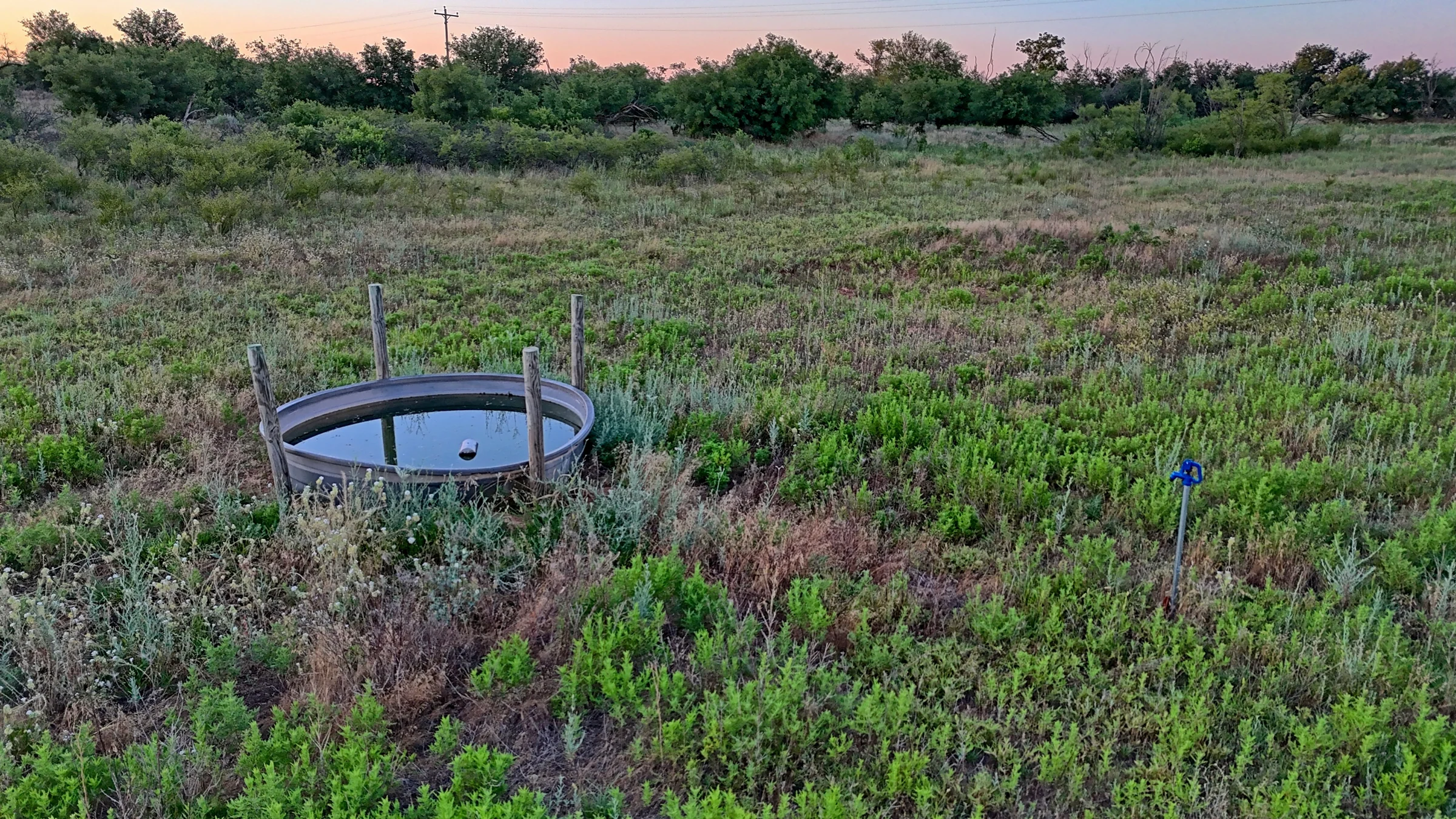 Stock-water trough on rural Texas land