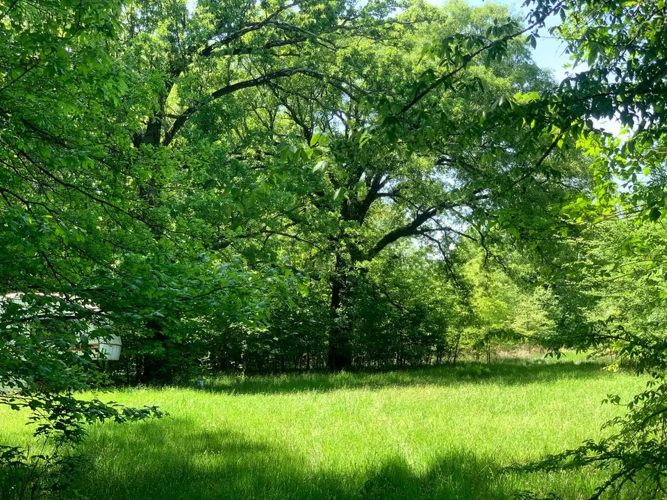 Overview of 12 acre ranch in Titus County, Texas
