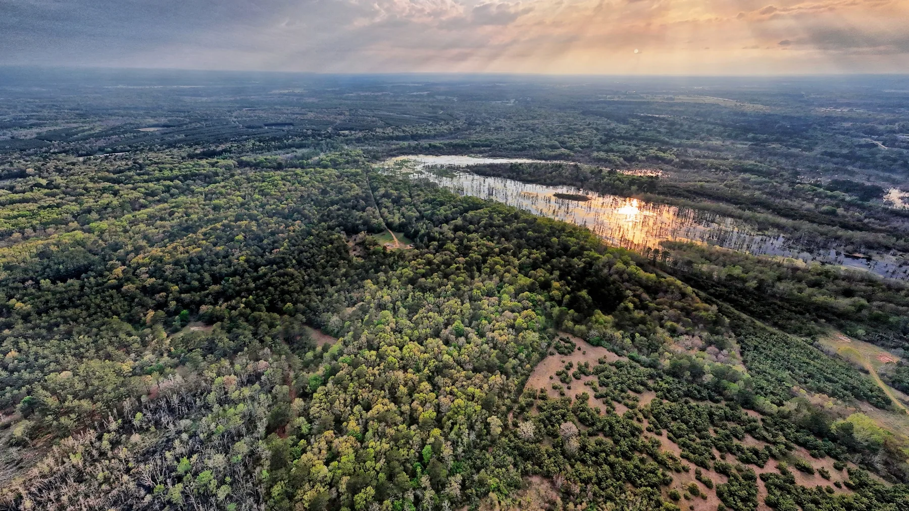 712 Acre Hunting Land in Panola County | Texas Hunting Land