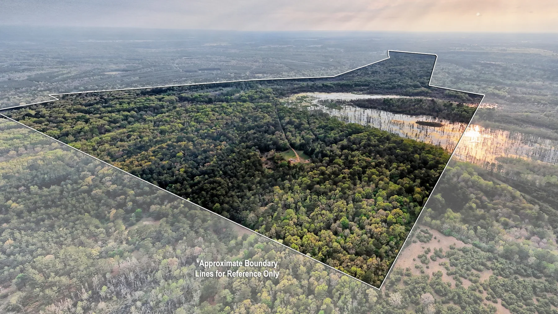 712 Acre Hunting Land in Panola County | Texas Hunting Land