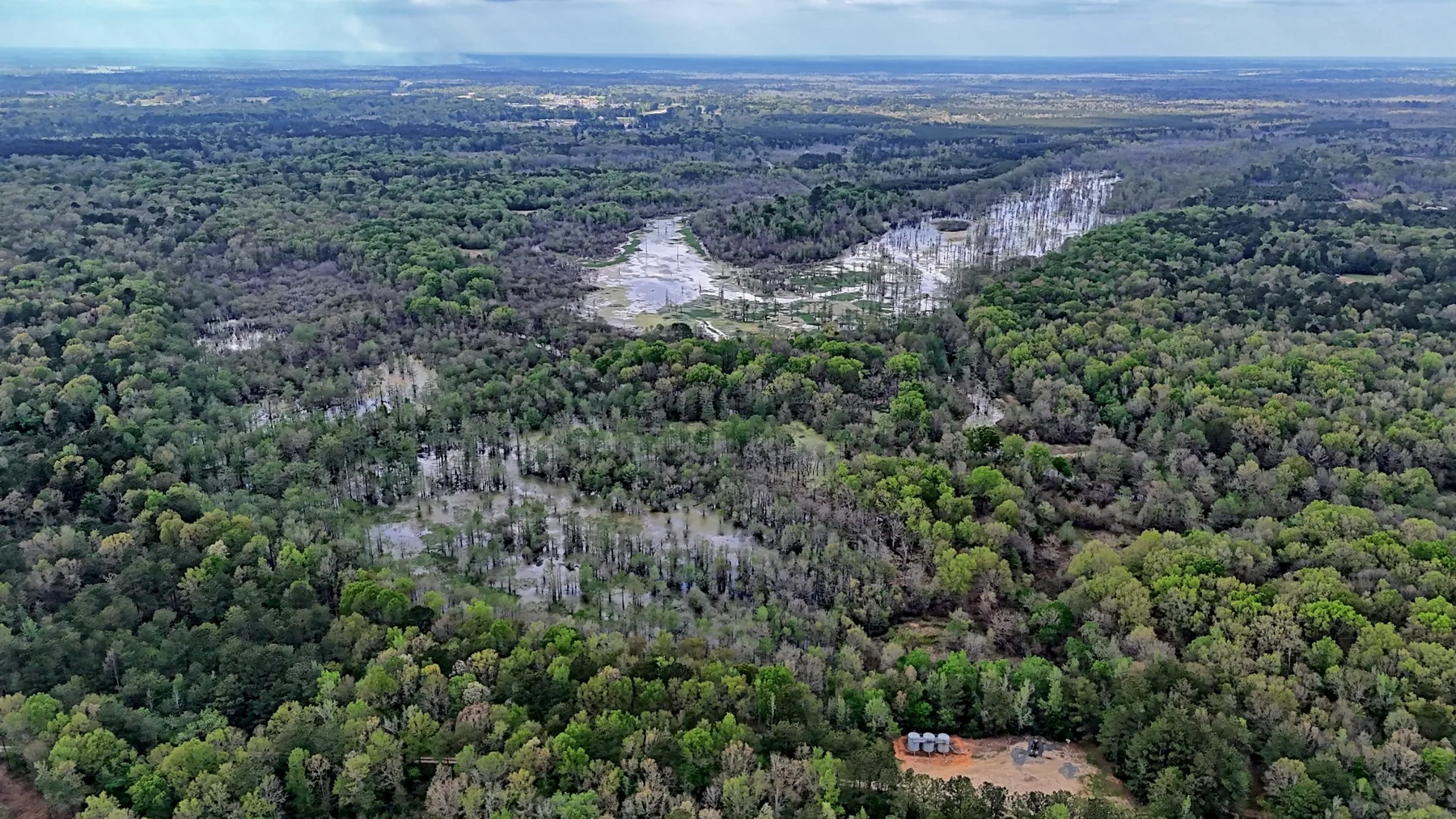 712 Acre Hunting Land in Panola County | Texas Hunting Land
