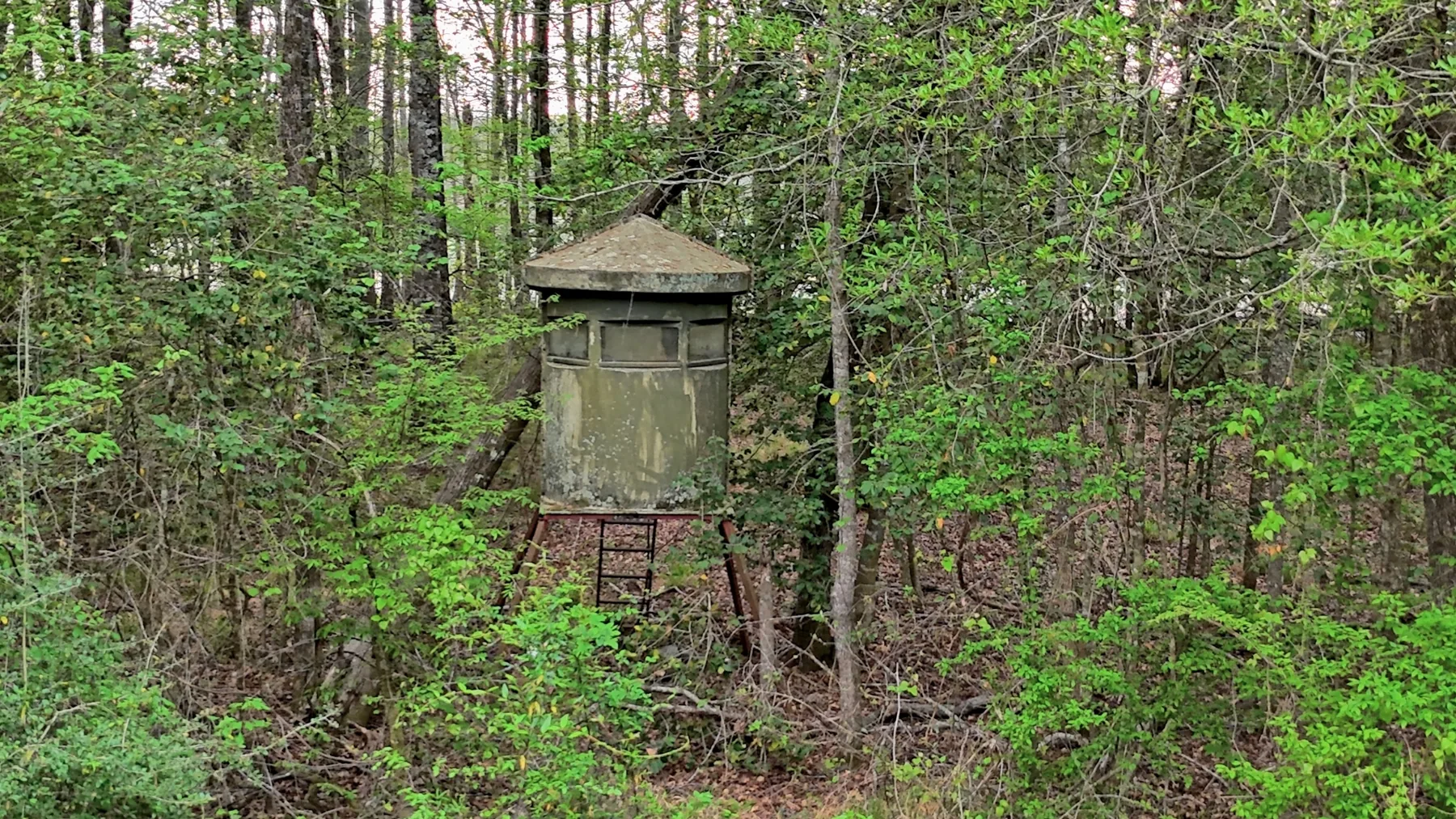 712 Acre Hunting Land in Panola County | Texas Hunting Land