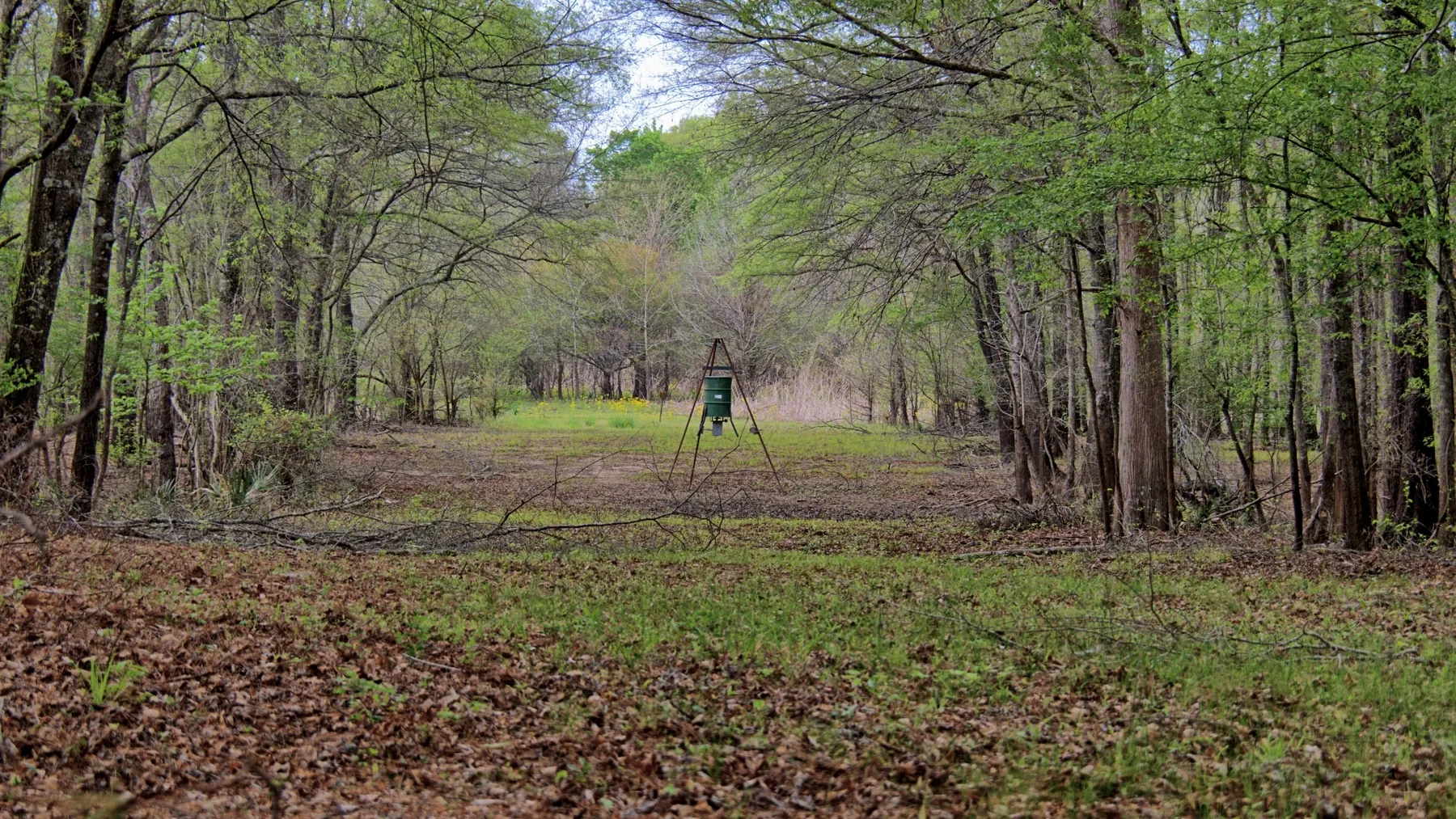 712 Acre Hunting Land in Panola County | Texas Hunting Land