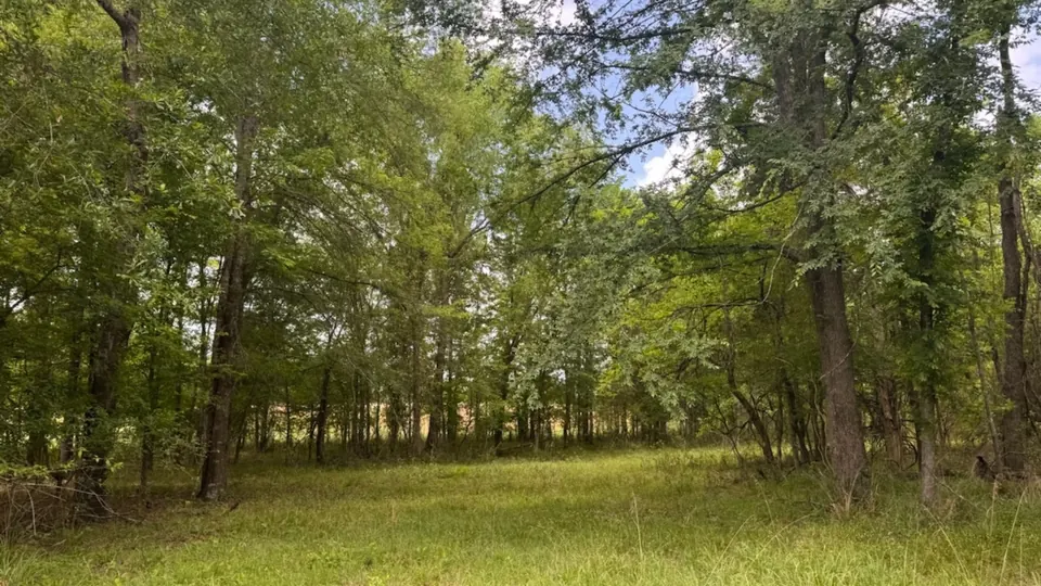 Heavily wooded acreage in Red River County, Texas, featuri, 10 acres in Red River County, 10.60 acres in Red River County, TX
