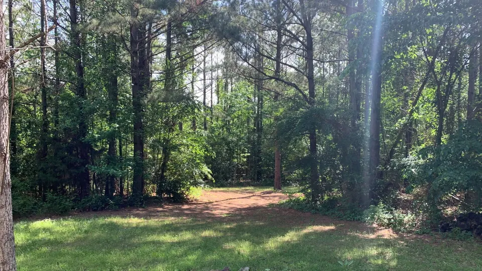 Overview of 1 acre ranch in Red River County, Texas