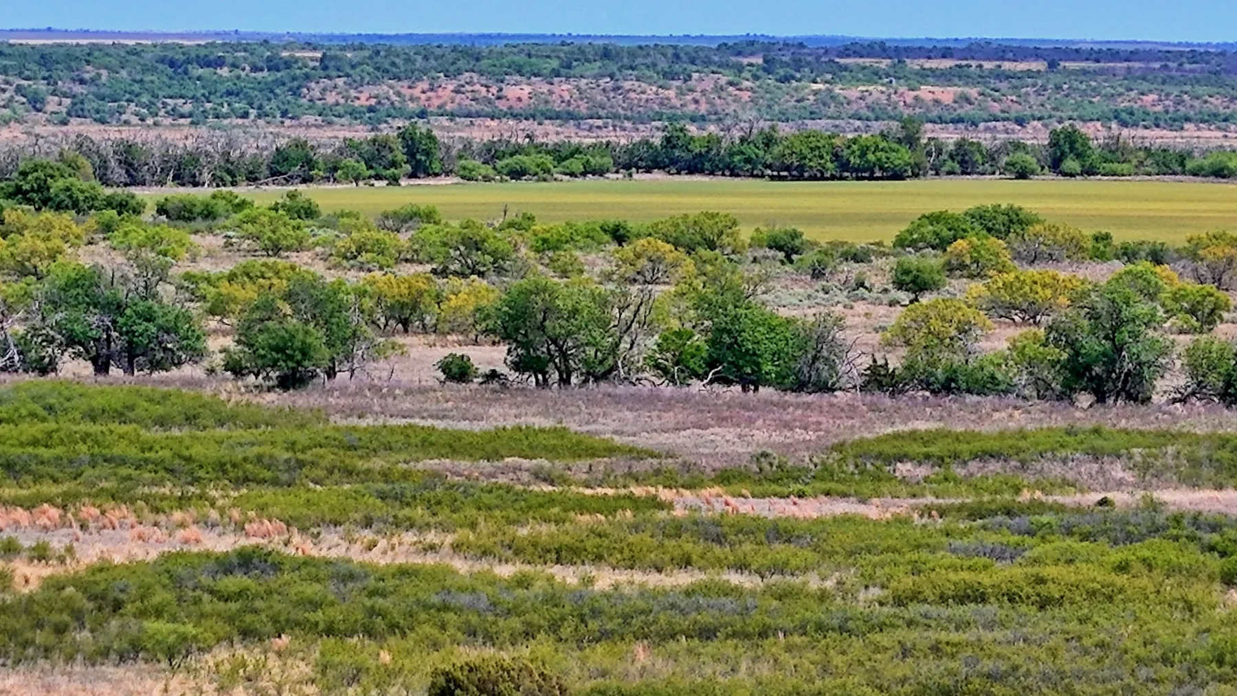 106.7 Acre Ranch in Hardeman County | Texas Hunting Land