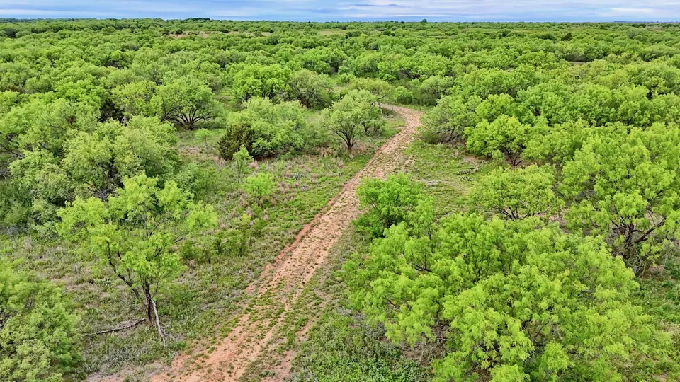 Sandy ranch road winds through dense mesquite trees, covering 343 acres in Knox County, Texas